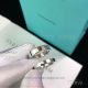 AAA Replica Tiffany 925 Silver Engagement Ring (4)_th.jpg